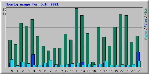 Hourly usage for July 2021