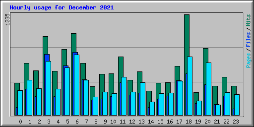 Hourly usage for December 2021